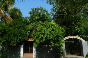 A village Tour in Kerala. 